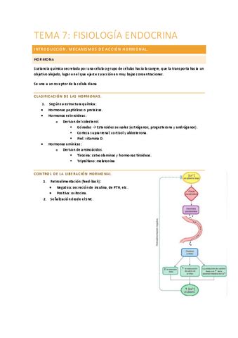 Tema 7 FISIO Pdf