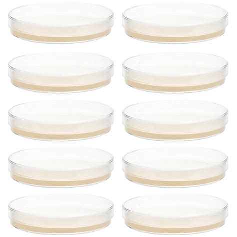 Pcs Prepoured Agar Plates Petri Dishes With Agar Science Experiment