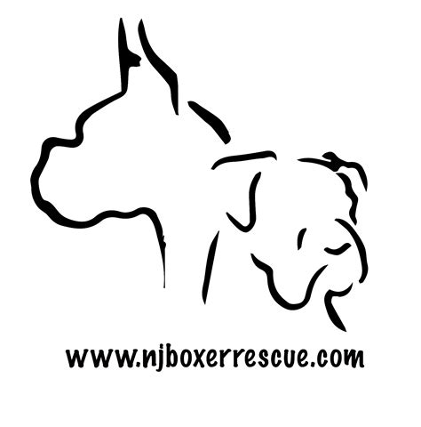 kc boxer rescue