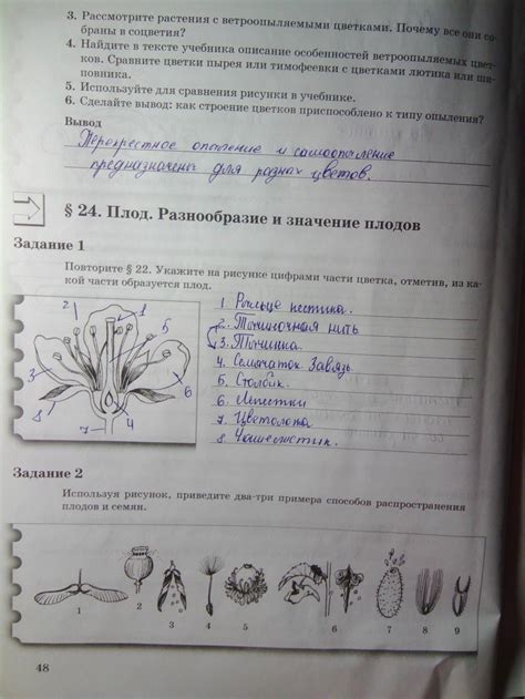 Корнилова 6 класс гдз: ГДЗ: Биология 6 класс Пономарева, Корнилова ...