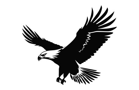 Flying Bald Eagle black and white Silhouette vector, A Bald Eagle black ...