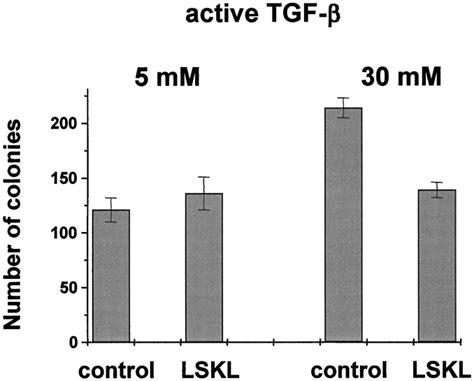 Glucose Stimulation of Transforming Growth Factor β Bioactivity in