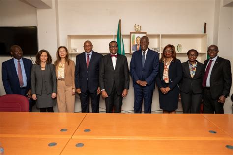 African Development Bank Group Rallies Behind Zambia And Plans Up To