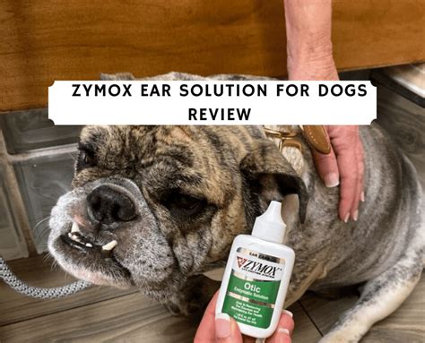 Zymox Ear Solution For Dogs Review