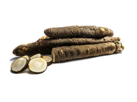 black salsify growing learn   care  scorzonera root vegetables