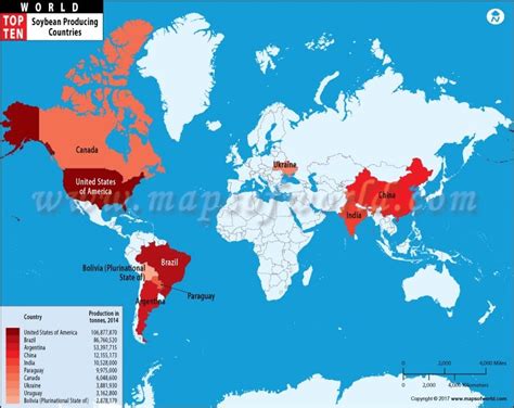 Top 10 Soybean Producing Countries World Top Ten