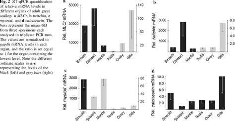 RT QPCR Quantification Of Relative MRNA Levels In Different Organs Of