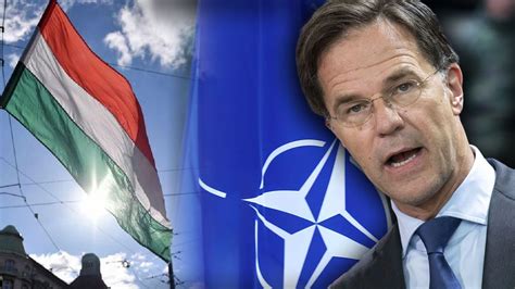 Macaristan dan Hollanda Başbakanı Rutte nin NATO Genel Sekreterliği