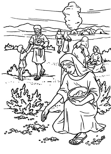 Manna & Quail - Coloring Page - SundaySchoolist