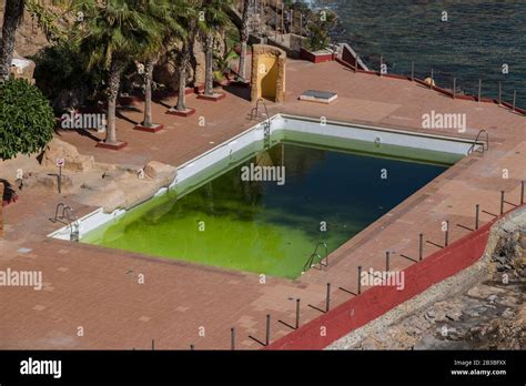 A Dirty And Abandoned Pool With Green Water Scary Pool Dyrty Waterl