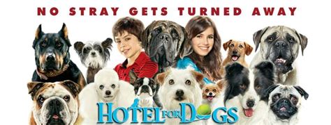 Hotel For Dogs Wiki Fandom Powered By Wikia