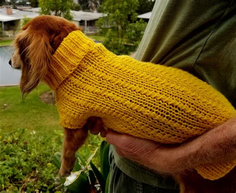 Dachshund Knitting Patterns Free Patterns