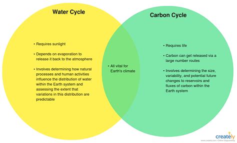 Diagram For Water Carbon Nitrogen And Phosphorous Water Colu