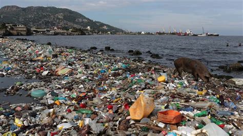 Quão poluídas estão as nossas águas costeiras Ambiental Jornal de