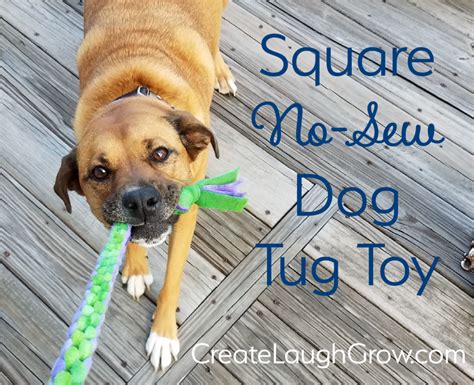 35 DIY Dog Toys to Keep Your Pup Entertained