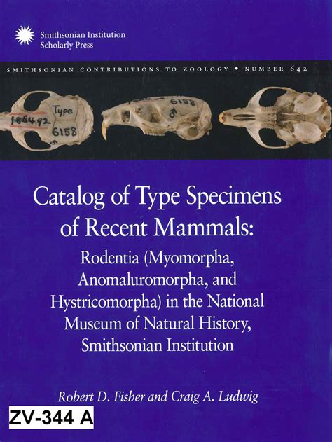 Catalog Of Type Specimens Of Recent Mammals Rodentia Myomorpha