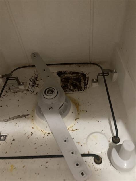 how to clean an old dishwasher