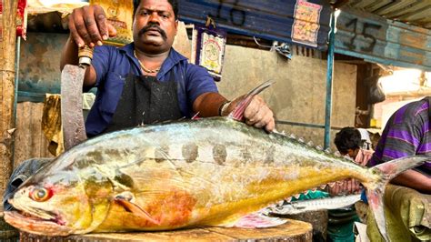 KASIMEDU SELVAM QUEEN TREVALLY FISH CUTTING VIDEO CUTTING FOCUS YouTube