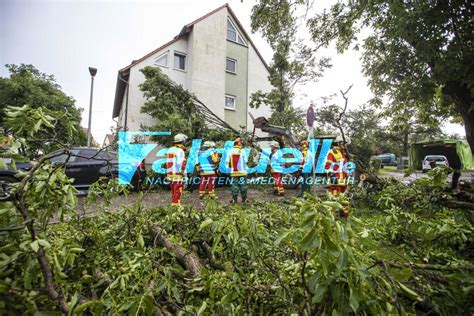 Schwere Sturmsch Den Im L Ndle B Berflutet Baum St Rzt Auf Autos