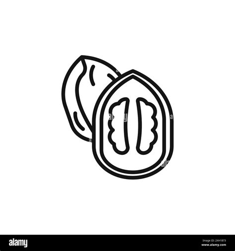 Walnut Icon Logo Sign Vector Outline In Black And White Color Stock