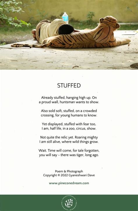 World Tiger Day A Poem Stuffed Pineconedream By Gyaneshwari Dave