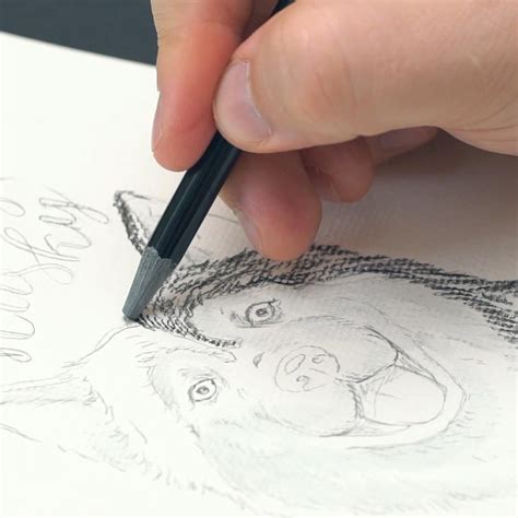 gamit sa pag drawing gamit muwebles