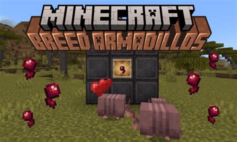 How To Breed Armadillos In Minecraft 1 21 Beebom