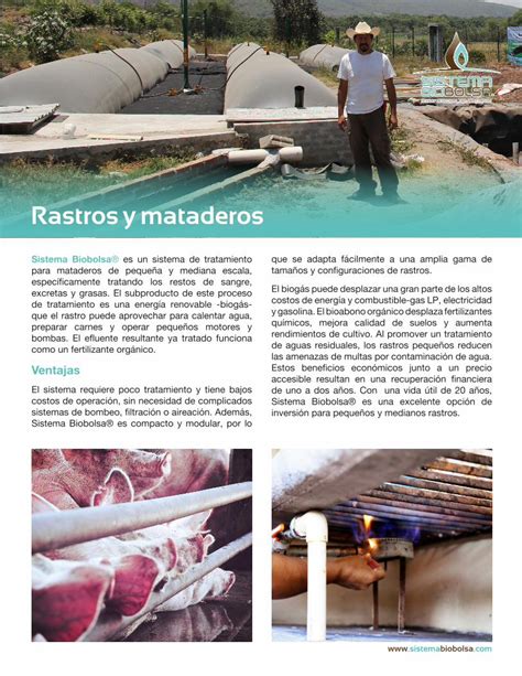 Pdf Rastros Y Mataderos Sistema Biobolsa Es Un