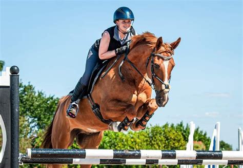 Professional Horse Jumping Photography