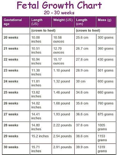 Fetal Growth Chart Baby Weight And Pregnancy Week By Week