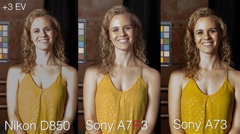 Shootout: Sony a7R III vs Sony a7 III vs Nikon D850 | PetaPixel