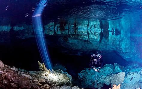 11 Best Cenotes To Visit Near Playa Del Carmen In 2023