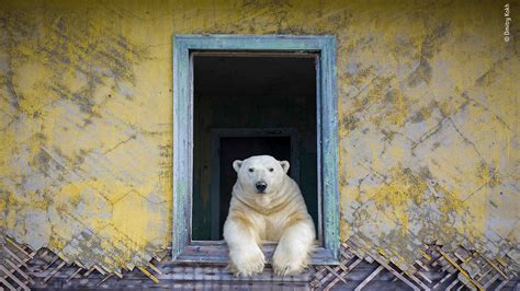 Wildlife Photographer of the Year 2022 | Royal Ontario Museum