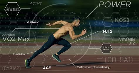 Seeking To Optimize Athletic Performance Through DNA Analysis Genetic