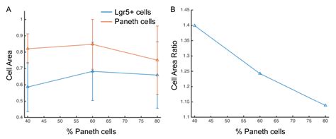 Paneth Cell Rich Regions Separated By A Cluster Of Lgr Cells Initiate