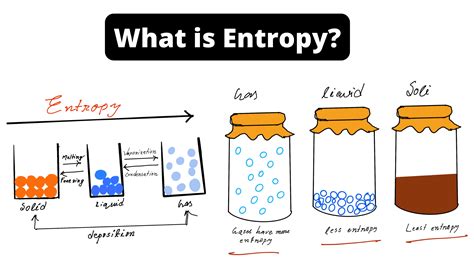 Thermodynamics Biology Notes Online