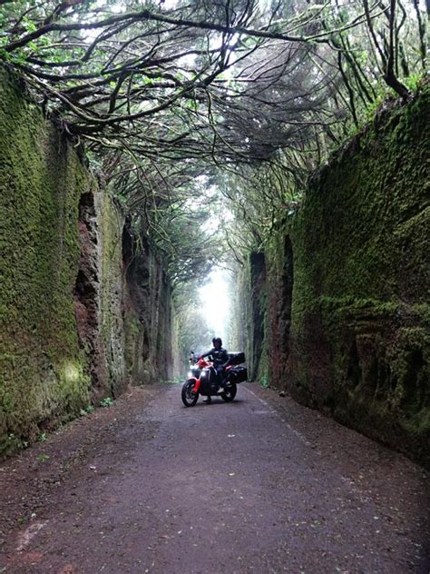 Qu Ver En Tenerife Lugares Imprescindibles Y D Nde Comer