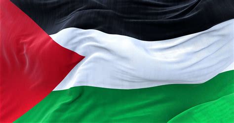 What does solidarity mean in the new era in Palestine?