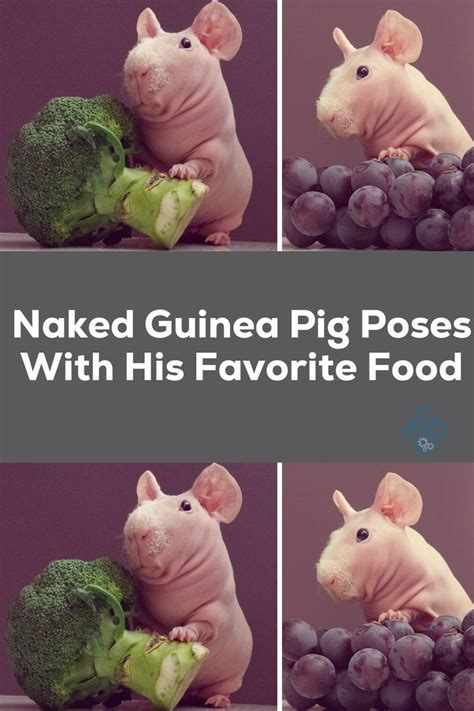 Hey Pandas Show Me Your Favorite Hot Sauce Closed Artofit