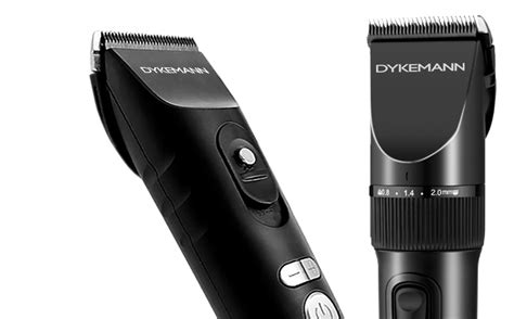 Dykemann — разработка интернет-магазина
