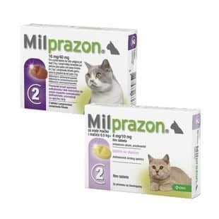 Milprazon Katze Kaufen Drpetcare De Ihre Online Tierapotheke