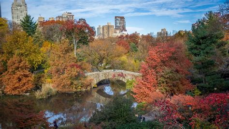 Fall Foliage Guide to Central Park