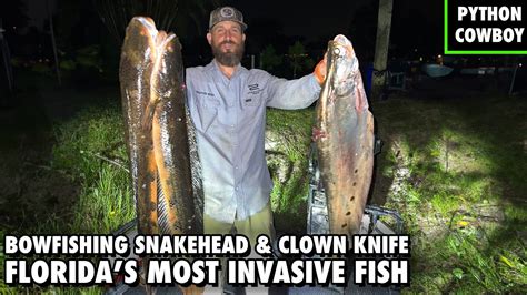 Bowfishing For The Most Invasive Fish In Florida YouTube