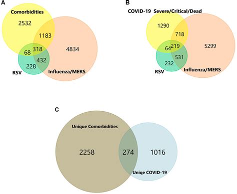 Frontiers Bioinformatics Insights Into The Genes And Pathways On