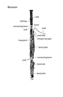 Bassoon - Trevor Harder Professional Inquiry Project