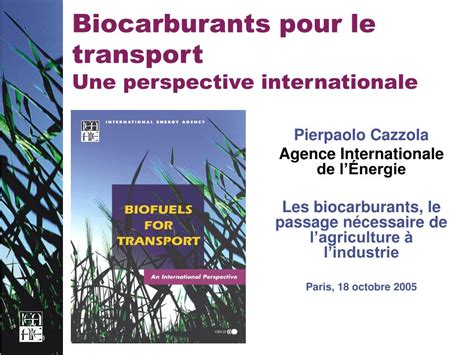 PPT Biocarburants Pour Le Transport Une Perspective Internationale