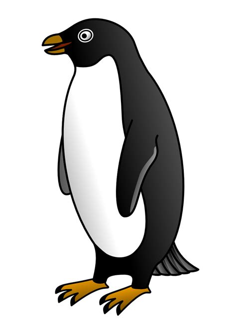 Download Fairy Penguin clipart for free - Designlooter 2020 👨‍🎨