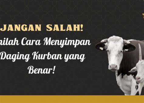 Jangan Sampai Salah Begini Cara Menyimpan Daging Kurban Agar Tidak Bau