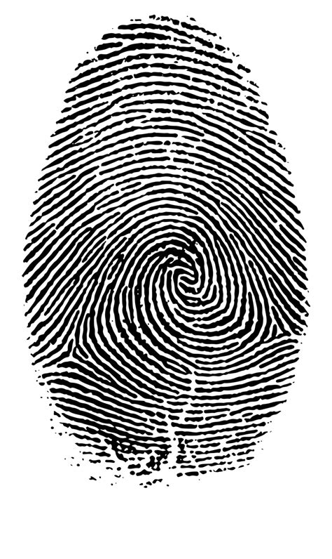 Fingerprint PNG Images Transparent Background | PNG Play