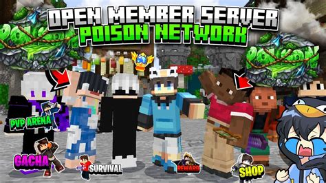 Open Member Server Mcpe Java Offial Poison Network Fitur Nya